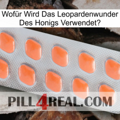 Wofür Wird Das Leopardenwunder Des Honigs Verwendet 26